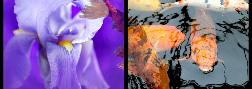 03_passages_printemps